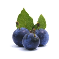 Մամուխ կգ