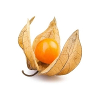Ֆիզալիս հատ